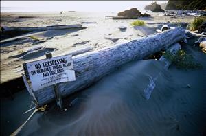 A sandy ocean beach with driftwood logs strewn about. A sign leaning against a log says No Trespassing on Quinault Tribal Beach and Tidelands. 